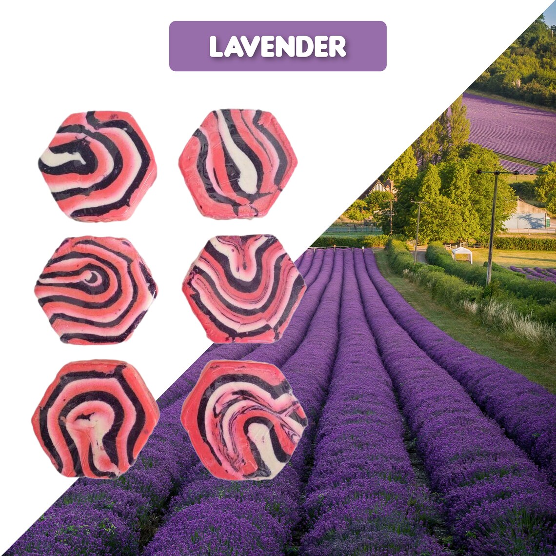 Extra Foaming Bath Bubble Bar, Lavender pack of 12